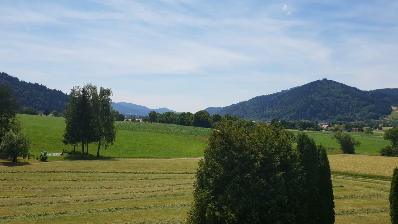 Silberkoenig Schwarzwald Hotel & Restaurant Ringhotel Gutach im Breisgau 外观 照片