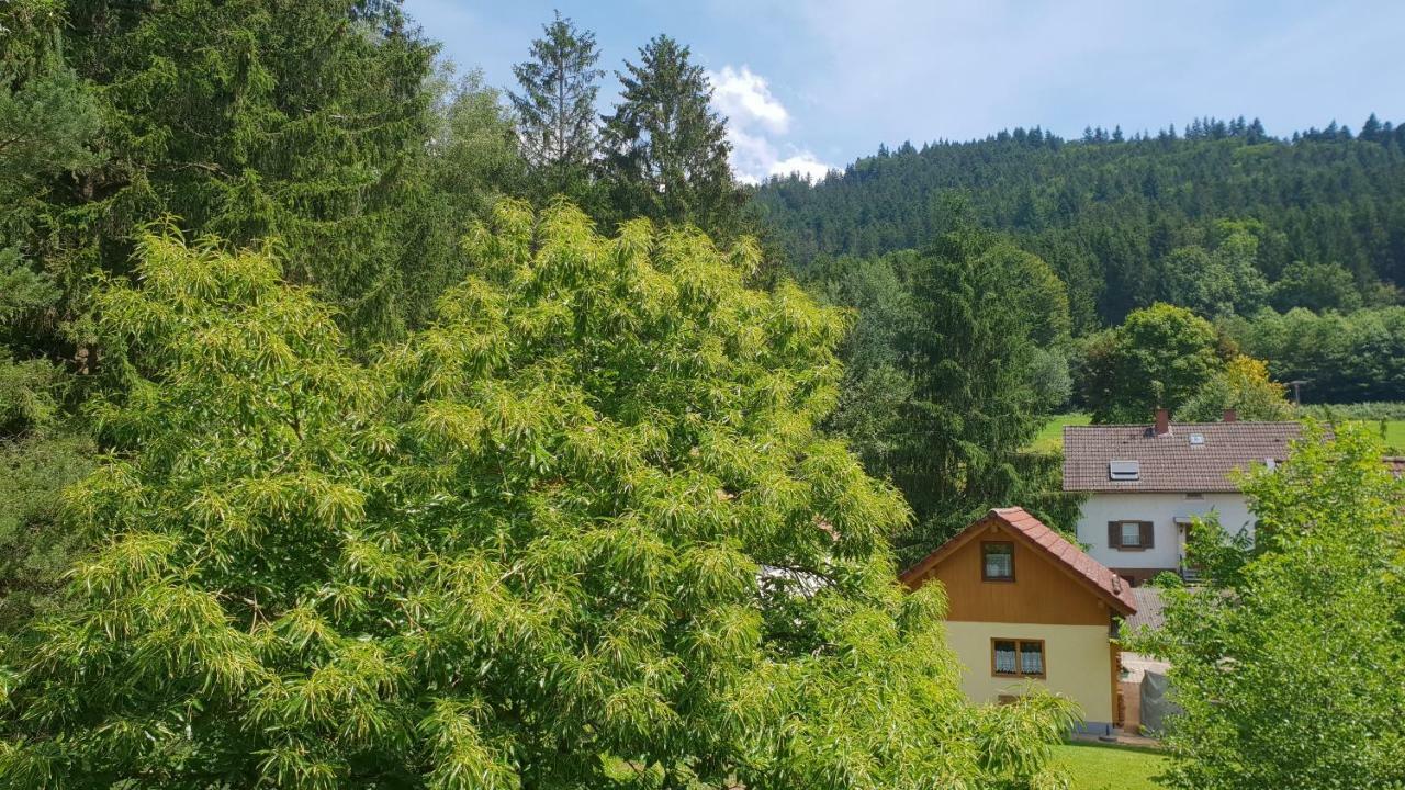 Silberkoenig Schwarzwald Hotel & Restaurant Ringhotel Gutach im Breisgau 外观 照片